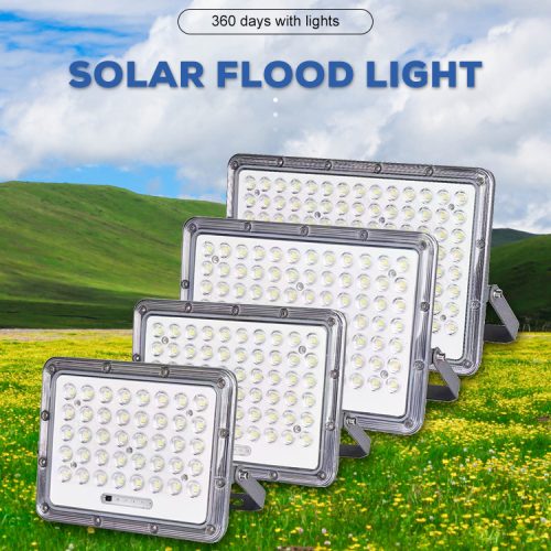 Time + Light Control Solar Flood Light
